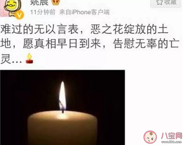 姚晨恶之花是什么意思什么梗 姚晨为什么被叫恶之花