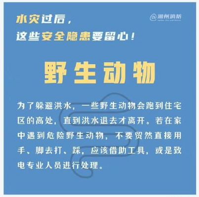 洪水过后|洪水过后有哪些安全隐患 洪水过后安全隐患盘点