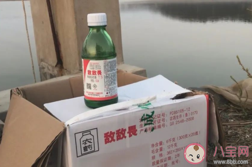 海参放敌敌畏|海参养殖放了敌敌畏人还能吃吗 被投放了敌敌畏的海参有什么危害