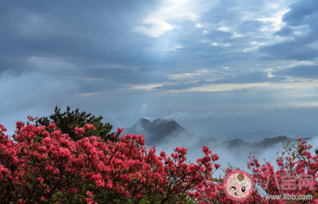 准大学生你好|准大学生你好的心情说说 对大学生说的正能量句子