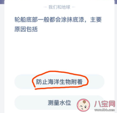 蚂蚁庄园|蚂蚁庄园8月19日答案 轮船底部为什么要涂抹底漆