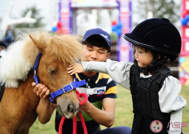 武汉小学|武汉哪些小学有试点马术课 武汉小学试点马术课名单