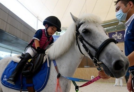 武汉小学|武汉哪些小学试点马术课 马术课收费多少钱