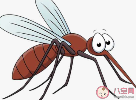 雄蚊子吃什么|雌蚊子吸血雄蚊子吃什么 蚂蚁庄园小课堂9月13日答案