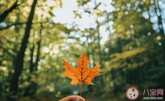 人到中年的|人到中年的经典语录发朋友圈句子 女人到中年的感情心情说说