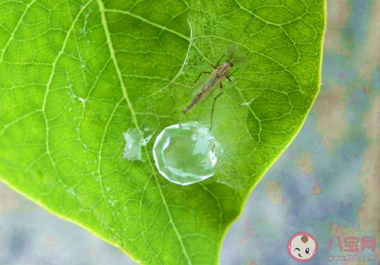 第一场冬雨|2020第一场冬雨发朋友圈说说 第一场冬雨心情感言句子