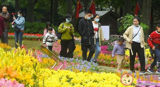 赏菊花的心情句子朋友圈文案 观赏菊花的心情短语