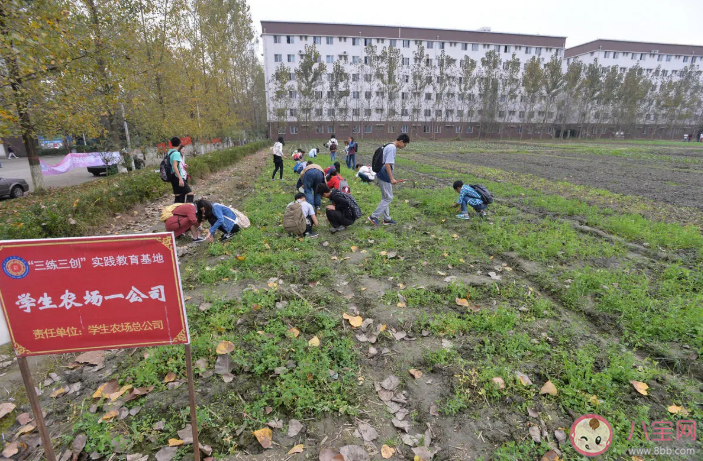 四川一高校|四川一高校开设种田必修课是什么情况 劳动教育的重要性