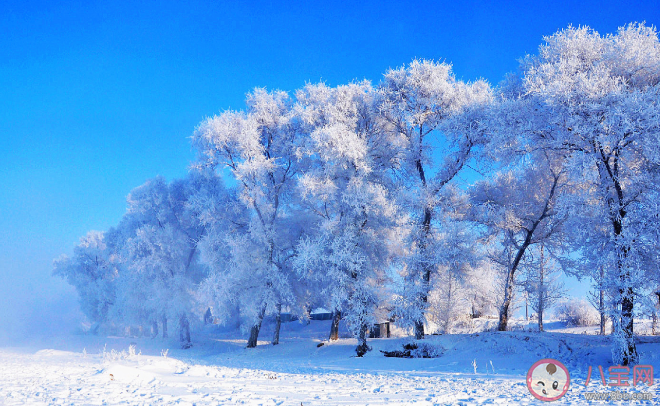 下雪|关于下雪的朋友圈文案 适合下雪发朋友圈配图文艺句子