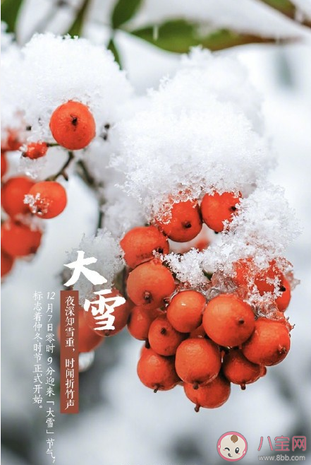 大雪节气|大雪节气早安温暖问候语说说 大雪节气早安说说带图片大全2020