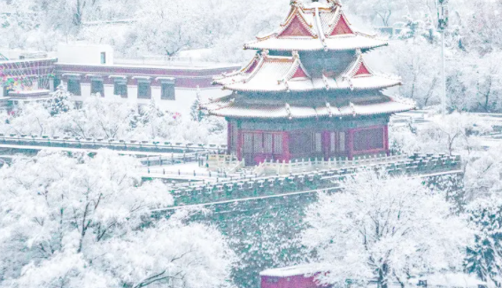 雪后变装|雪后变装最美的城市是哪里 雪景最美的城市旅游指南