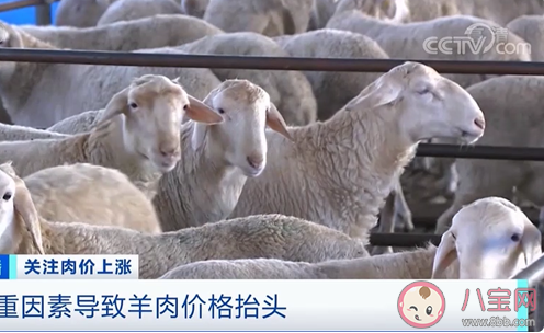 牛羊肉价格每公斤超74元|牛羊肉价格每公斤超74元是怎么回事 牛羊肉涨价原因是什么
