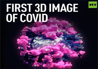 新冠病毒的首个3D图像是怎样的 新冠病毒究竟长什么样子