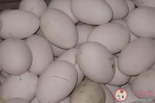 鹅蛋为什么形状|鹅蛋为什么形状上有大有小 鹅蛋选大的好还是小的好