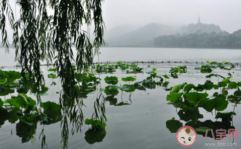 烟柳画桥风帘翠幕参差十万人家|烟柳画桥风帘翠幕参差十万人家写的是什么地方的景观 蚂蚁庄园2月16日答案