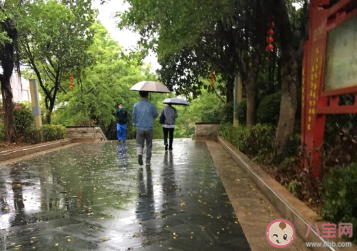 2021第一场春雨心情说说  第一场春雨发朋友圈唯美句子