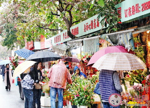 2021第一场春雨心情说说  第一场春雨发朋友圈唯美句子