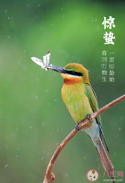 惊蛰早安|惊蛰早安一句话朋友圈文案说说 惊蛰早安心语美好句子