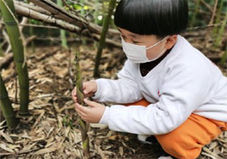 幼儿园植树节种树的活动报道美篇2021 幼儿园组织小朋友种树的活动稿件2021