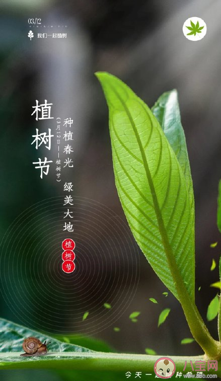 植树节|2021植树节倡议书范文模板 参加植树节活动的倡议书内容