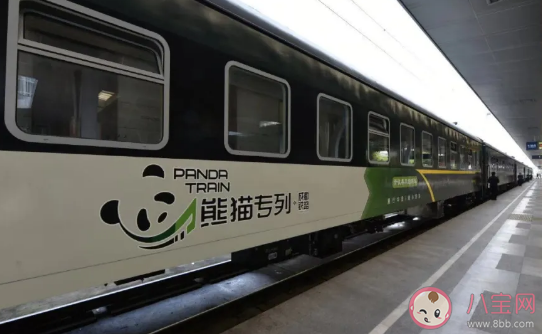 成都熊猫专列|成都熊猫专列有哪些路线 熊猫专列车厢功能介绍