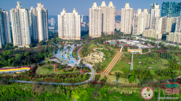 重庆|重庆最大高差70米公园在哪 重庆挂毯公园是怎样的