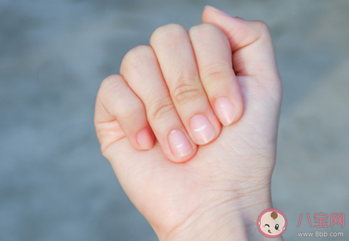 指甲上的月牙少|指甲上的月牙少是身体不健康的表现吗 蚂蚁庄园4月8日答案
