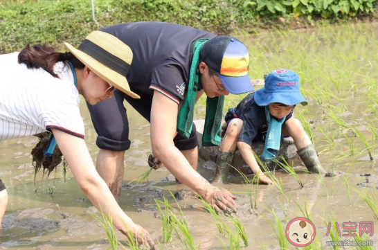 春天|春天带孩子去这些地方更加优秀 提升孩子阅历的方法