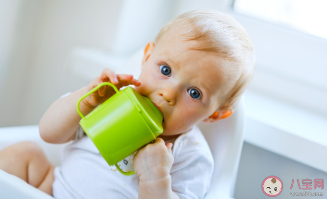 不同年龄|不同年龄宝宝水杯怎么选 使用杯子喝水的好处有哪些