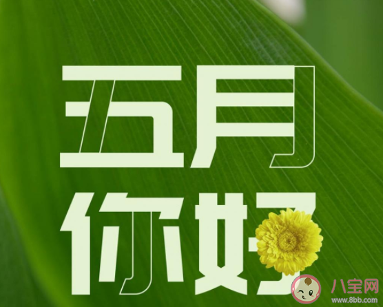 5月第一天|5月第一天朋友圈文案短句 5月第一天发朋友圈说说大全