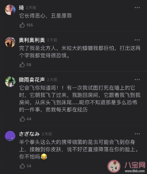 怕蟑螂主要怕的是什么 蟑螂为什么那么难杀死