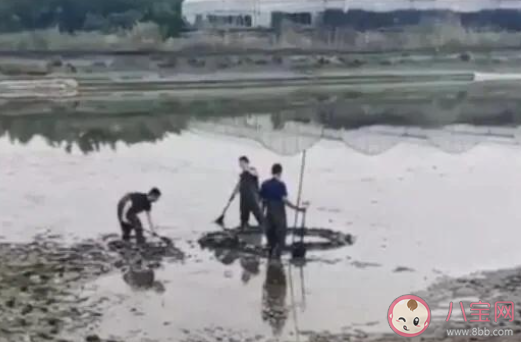 浙江嘉兴上空|浙江嘉兴上空掉下不明物体 掉下来的东西到底是什么