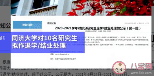 同济大学|同济大学拟退学10名研究生 为什么研究生会被清退