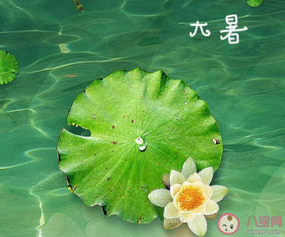 大暑节气|最新大暑节气经典暖心祝福语句子 大暑节气暖心一句话说说祝福