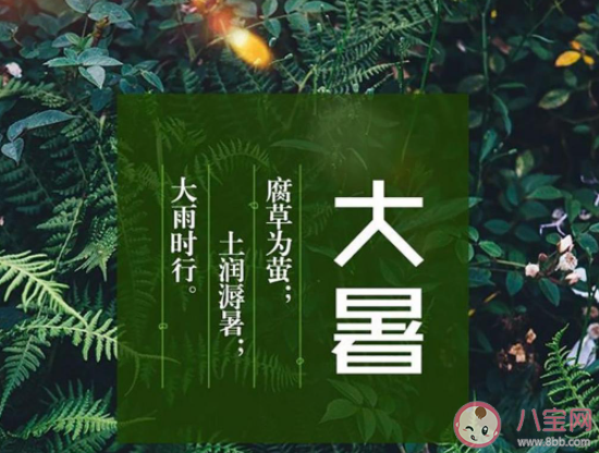 大暑节气|最新大暑节气经典暖心祝福语句子 大暑节气暖心一句话说说祝福