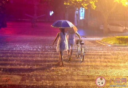 全国11省区有大到暴雨 如何防御暴雨到来