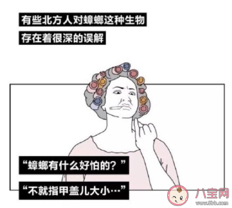 在南方上大学是什么体验 在南方上大学你最大的感受是什么