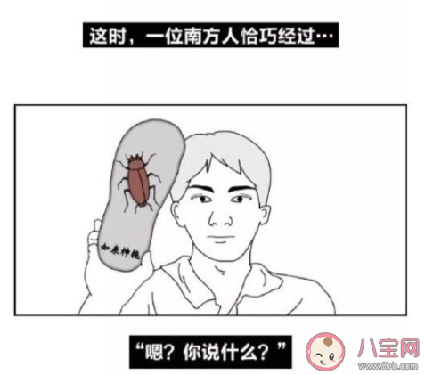 在南方上大学是什么体验 在南方上大学你最大的感受是什么