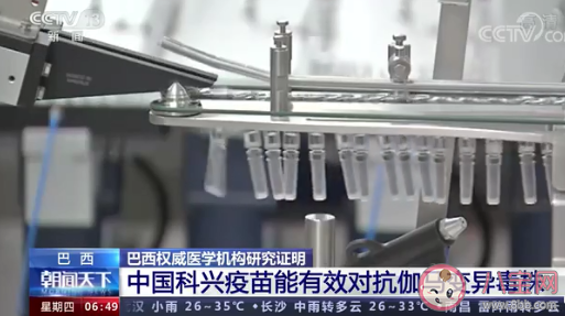 中国科兴疫苗|中国科兴疫苗能有效对抗伽马变异毒株 新冠疫苗能起到哪些作用