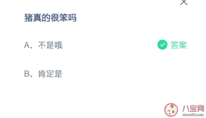 蚂蚁庄园猪真的很笨吗 8月12日正确答案