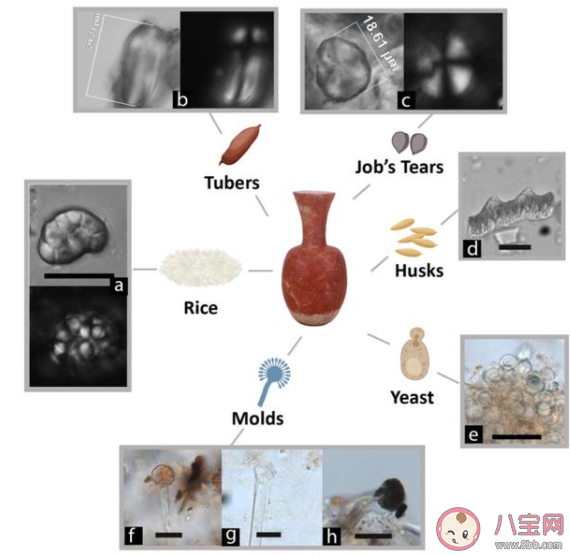 9千年前南方人喝啤酒证据被发现 在古代也有啤酒吗