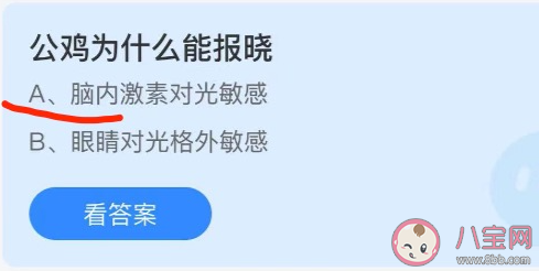 蚂蚁庄园公鸡为什么能报晓 10月9日答案介绍