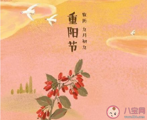 2021重阳节唯美图片祝福语说说朋友圈 2021重阳节送祝福的问候语句子大全