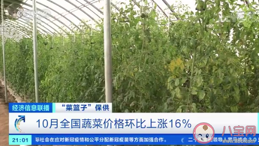 10月蔬菜价格上涨近2成 吃不起蔬菜了怎么办