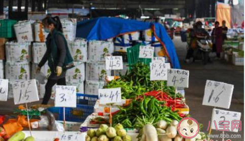 不少地区绿叶菜价格开始明显回落 蔬菜开始降价了吗