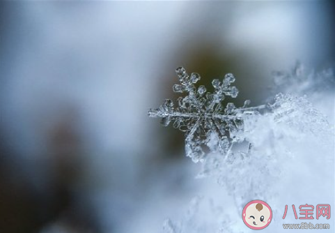 官方明年一二月或发生极端寒潮 今年冬天会否出现雨雪冰冻灾害