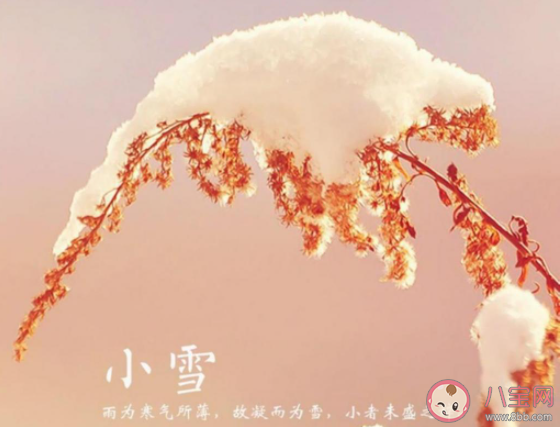 今日小雪精美图片早安心语说说句子2021 小雪节气到了的早安问候语说说2021