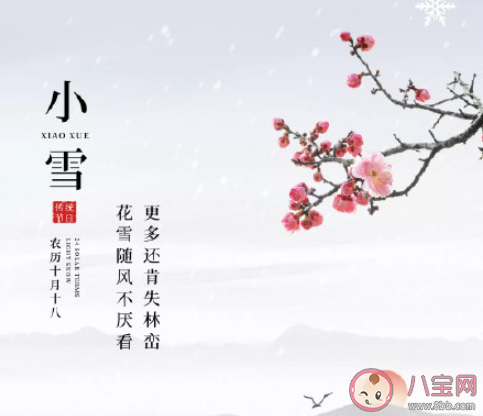 又是一年小雪节气温馨说说祝福语 小雪节气送祝福的文案句子