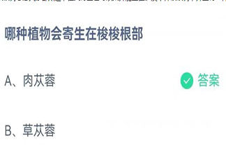 哪种植物会寄生在梭梭根部 蚂蚁庄园11月23日答案介绍