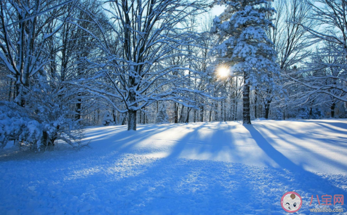 下雪天为什么这么浪漫 下雪天温柔文案美好句子